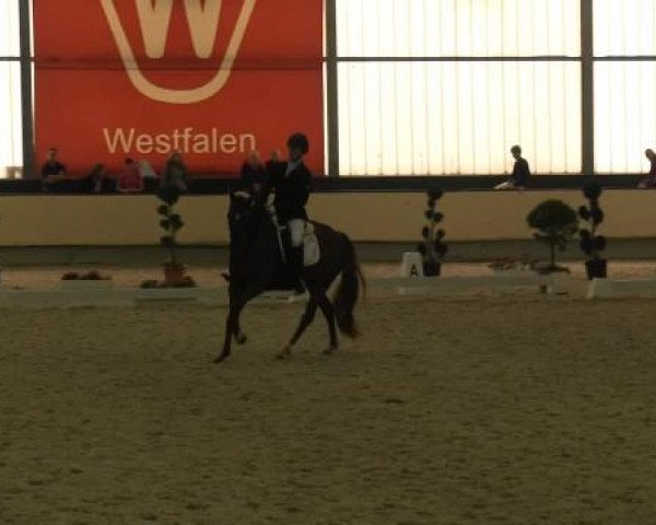 Westfalen-Woche 2014