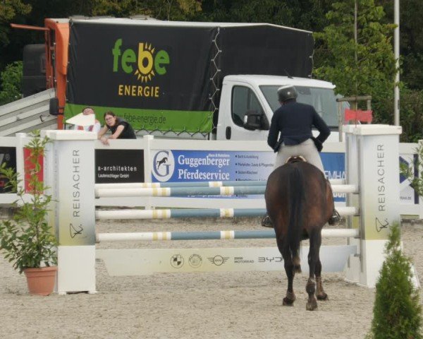 Reitturnier Babenhausen/Schw. 2025