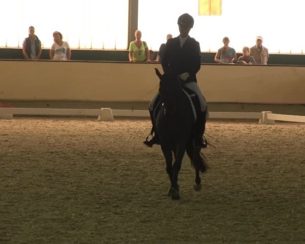 Reitturnier Münster-Handorf 2014