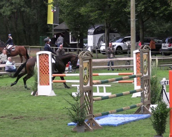 Reitturnier Kemnitz/Salzwedel 2025