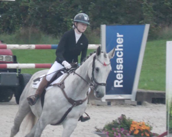 Reitturnier Babenhausen/Schw. 2025