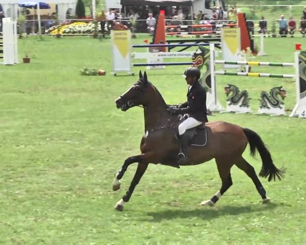 54. Süddeutsche Championate - Scharlachrennen