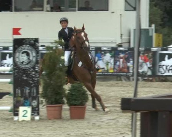 Bexter Hof Open 2014