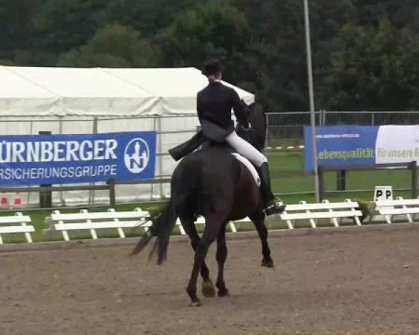 61. Lobbericher Reitsportfestival CDN