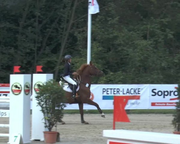 Bexter Hof Open 2014