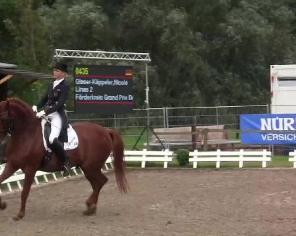 61. Lobbericher Reitsportfestival CDN