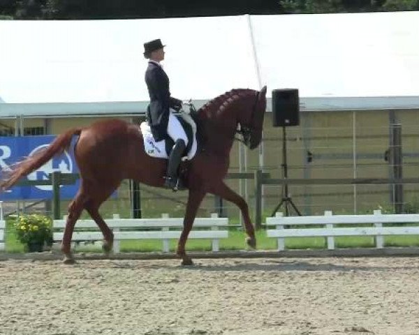 61. Lobbericher Reitsportfestival CDN