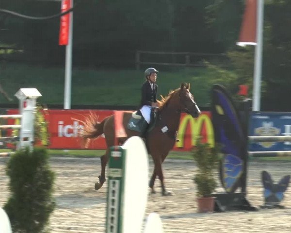 Bexter Hof Open 2014
