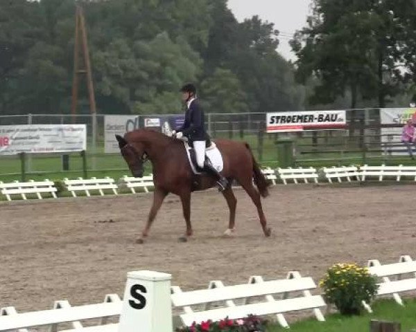 61. Lobbericher Reitsportfestival CDN