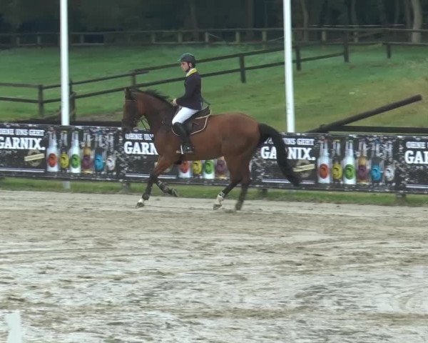 Bexter Hof Open 2014