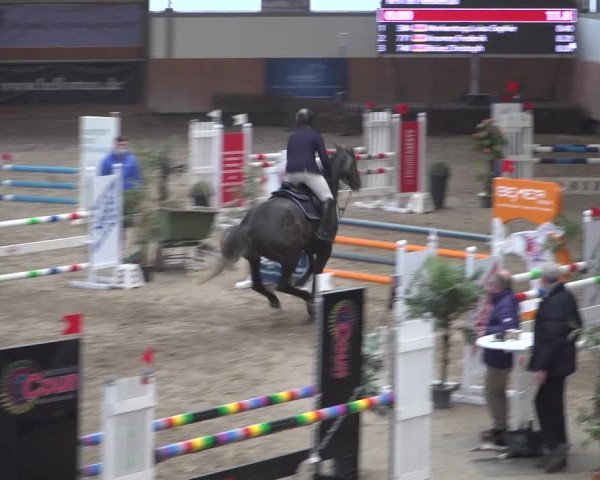 Reitturnier Grevenbroich - Gut Neuhaus 2021