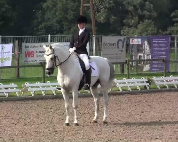 61. Lobbericher Reitsportfestival CDN