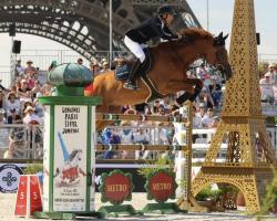 Springpferd Boy de Riverland (Selle Français, 2011, von Sunday de Riverland)