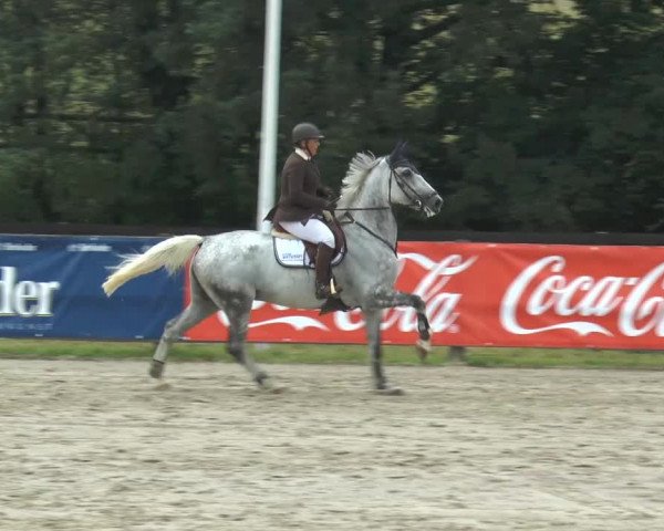 Bexter Hof Open 2014