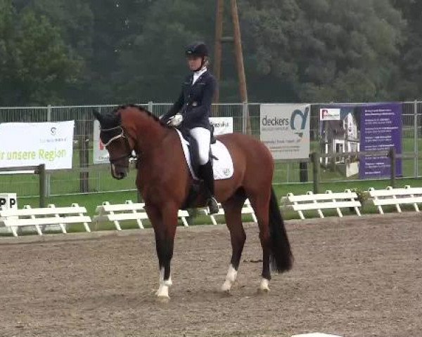 61. Lobbericher Reitsportfestival CDN