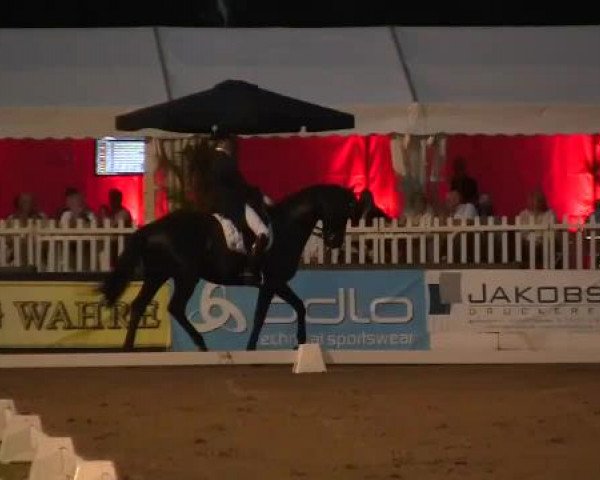 61. Lobbericher Reitsportfestival CDN
