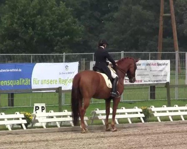61. Lobbericher Reitsportfestival CDN