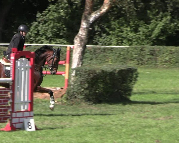 Reitturnier Herbstturnier Westeregeln 2025