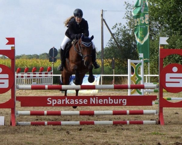 jumper La Kandi (Pony without race description, 2003)