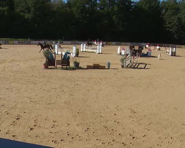 Reitturnier Tiefenhof/Opf. 2025