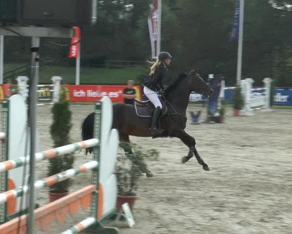 Bexter Hof Open 2014