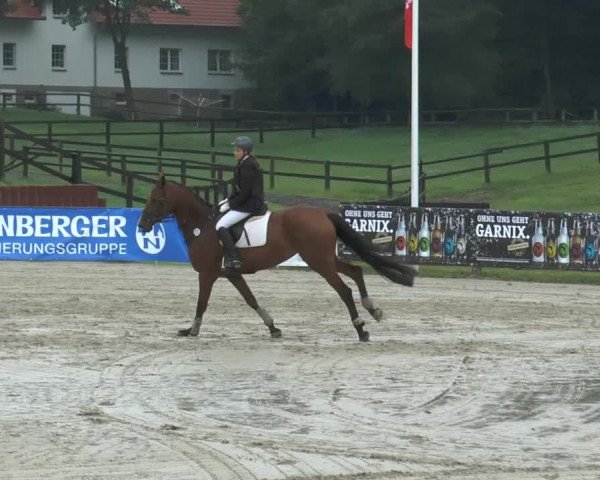 Bexter Hof Open 2014