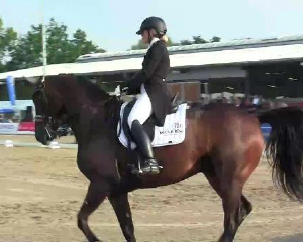 61. Lobbericher Reitsportfestival CDN