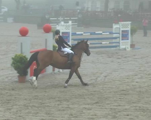 Bexter Hof Open 2014