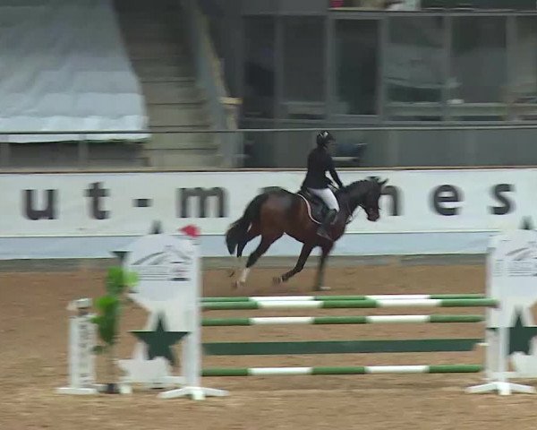 Reitturnier Kreuth/Opf. 2021