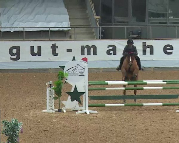 Reitturnier Kreuth/Opf. 2021