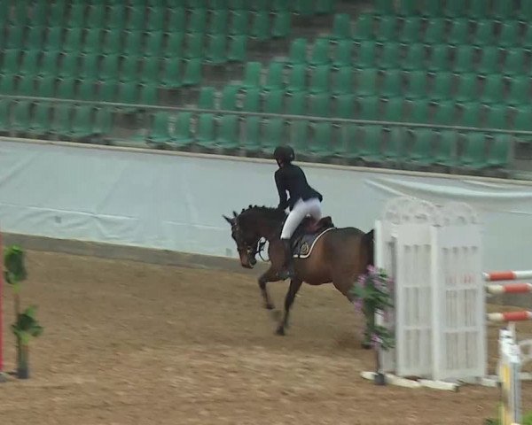 Reitturnier Kreuth/Opf. 2021