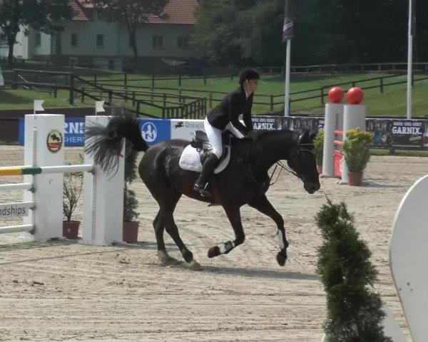 Bexter Hof Open 2014