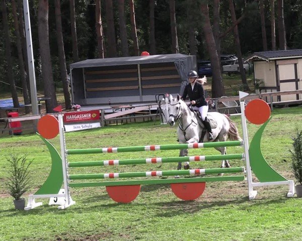 Reitturnier Kemnitz/Salzwedel 2025