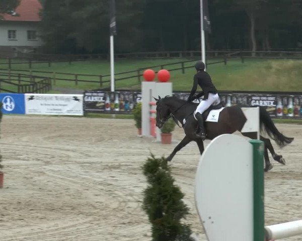 Bexter Hof Open 2014