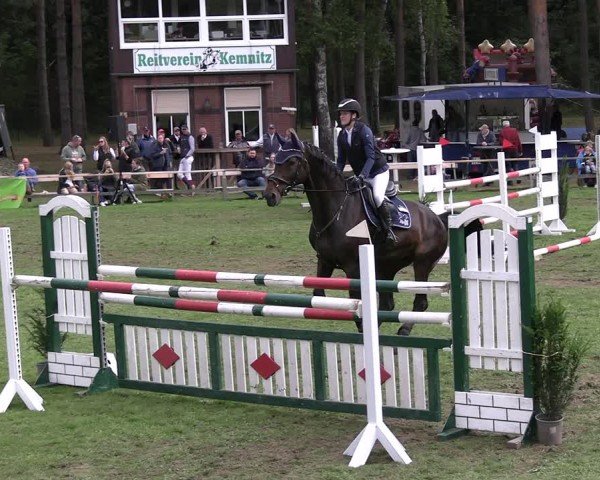 Reitturnier Kemnitz/Salzwedel 2025