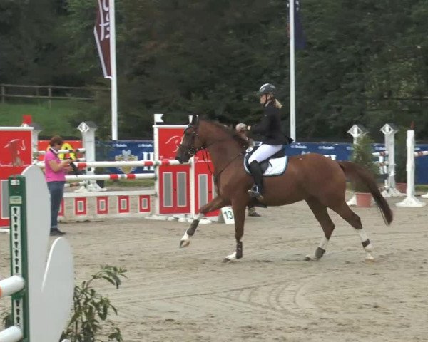 Bexter Hof Open 2014