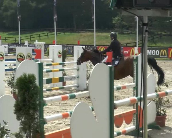 Bexter Hof Open 2014