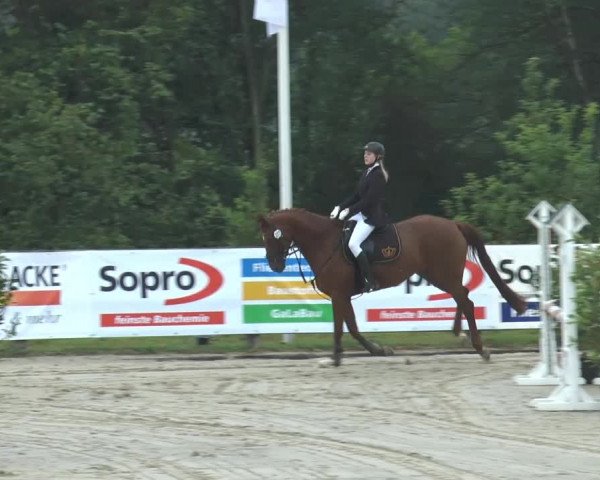Bexter Hof Open 2014