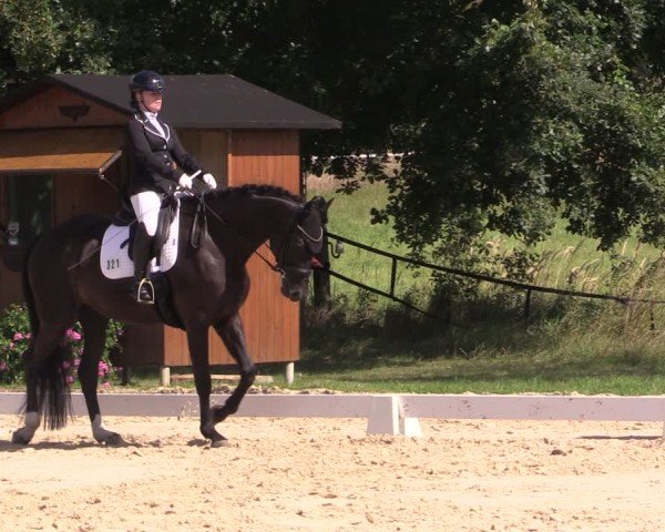 Reitturnier Herbstturnier Westeregeln 2025