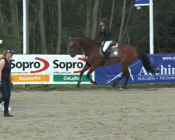 Bexter Hof Open 2014