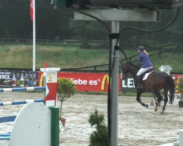 Bexter Hof Open 2014