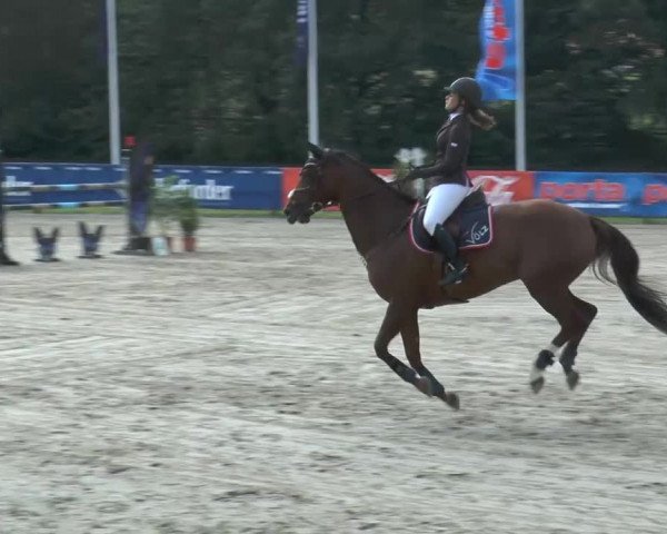 Bexter Hof Open 2014