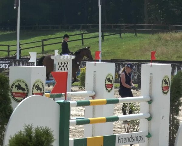 Bexter Hof Open 2014