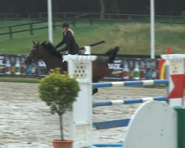 Bexter Hof Open 2014