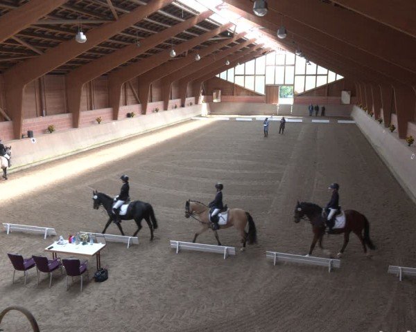 Reitturnier Dortmund-Barop 2025