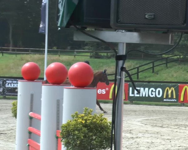 Bexter Hof Open 2014