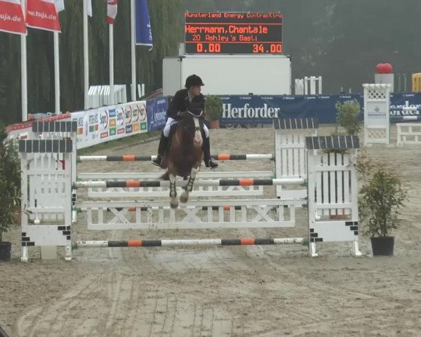 Bexter Hof Open 2014