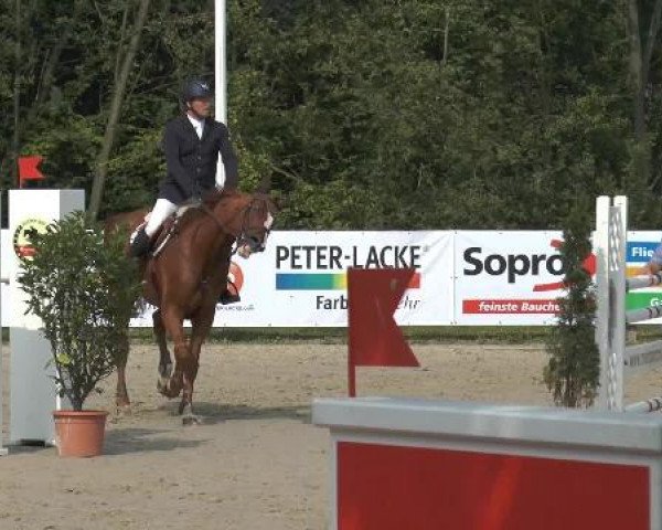 Bexter Hof Open 2014