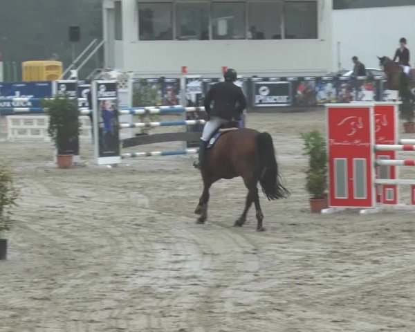 Bexter Hof Open 2014