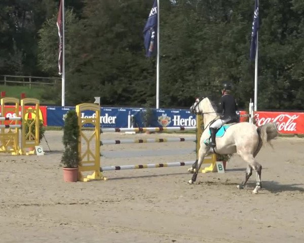 Bexter Hof Open 2014